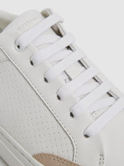 Reiss Trainers | Ashley Low Top Leather Trainers Gold - Women