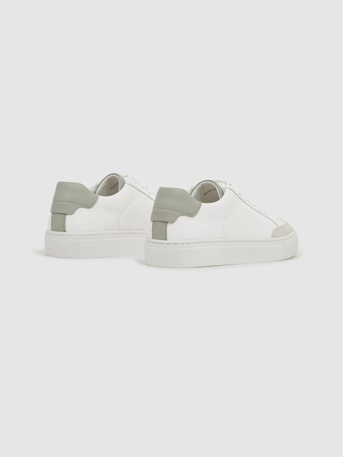 Reiss Trainers | Ashley Low Top Leather Trainers Sage/white - Women