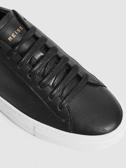 Reiss Trainers | Finley Lace-Up Leather Trainers Biscuit - Women